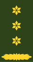 Colonel
